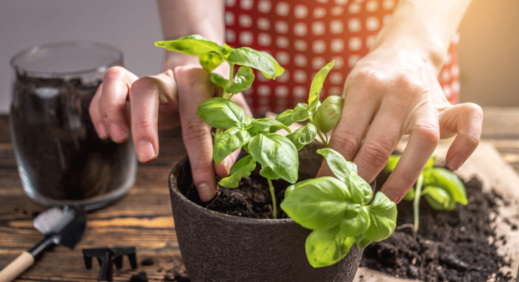 Hallo Garten So funktioniert’s