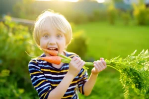 Gemüse Gärtnern mit Kids