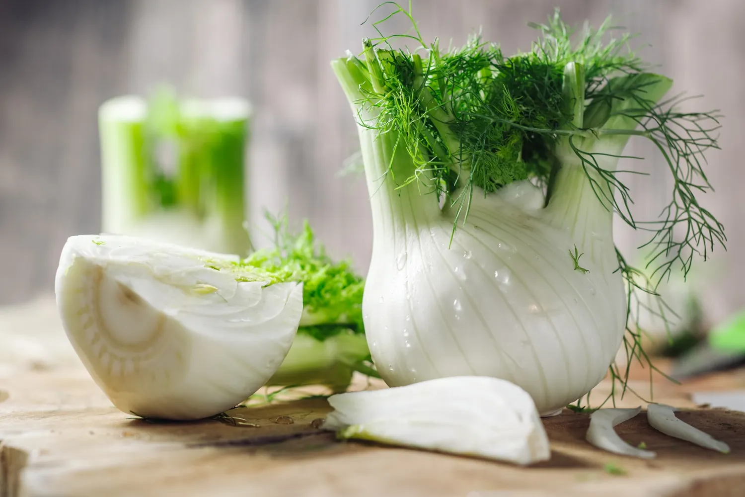 Fenchel_1500x1000