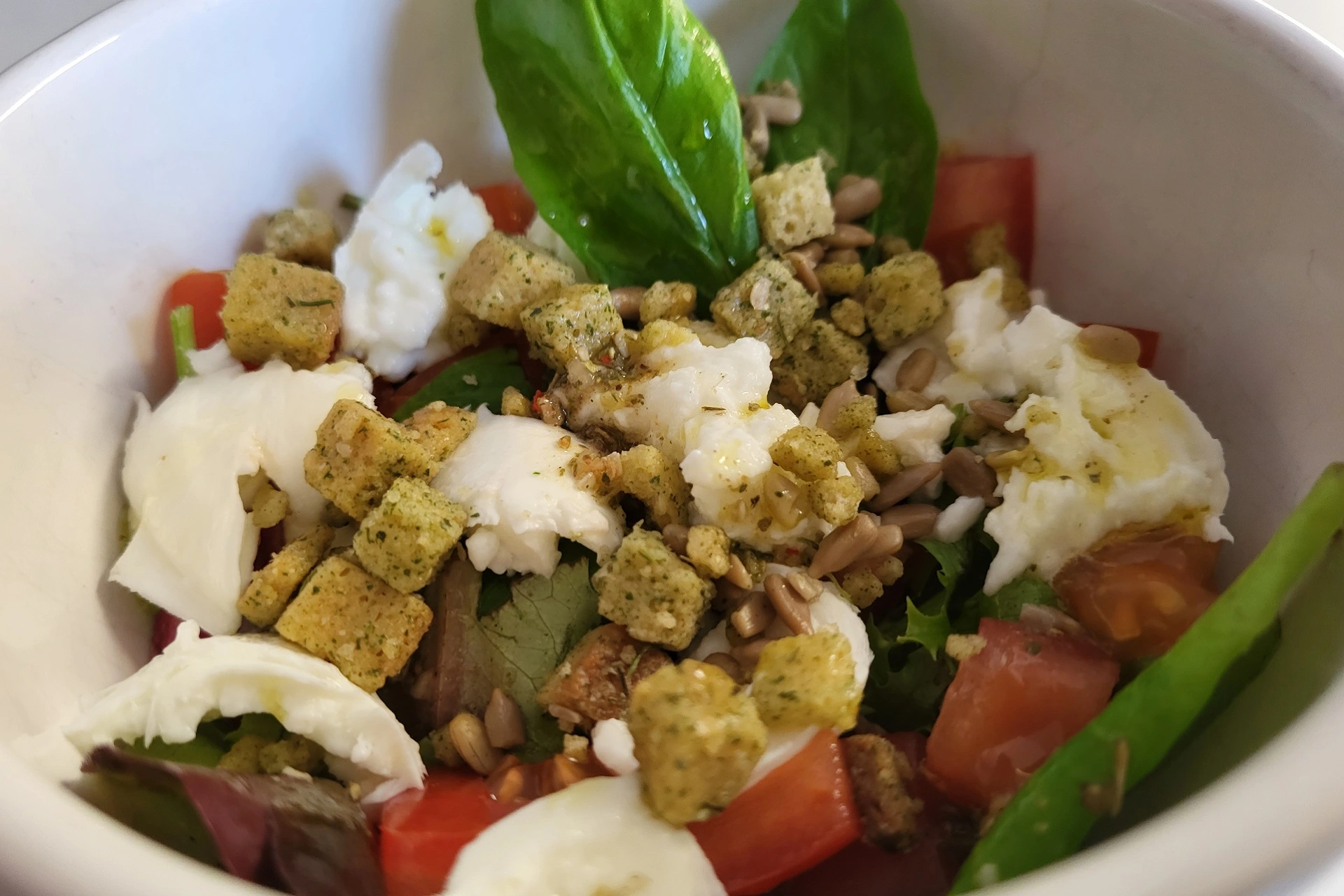 Feldsalat mit Tomaten und Büffel-Mozzarella Hallo Garten