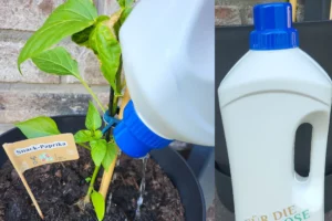 Eine Plastikflasche mit Löchern im Deckel, die als Gießgefäß verwendet werden kann.