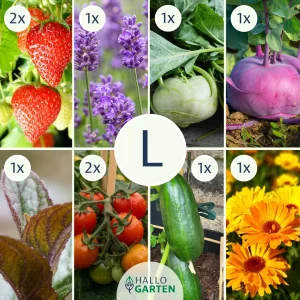 Pflanzen-Set Kindergarten - Bild 3