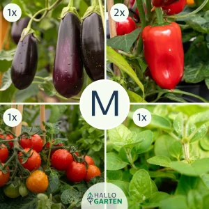 Pflanzen-Set Grillzeit - Bild 2