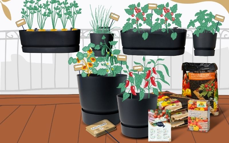 Hallo_Garten_Pflanzmenue_Gemüse_Krauter_Beeren_02_Slider