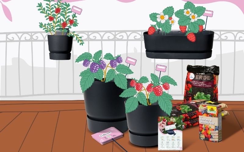 Hallo_Garten_Pflanzmenue_Gemüse_Krauter_Beeren_03_Slider
