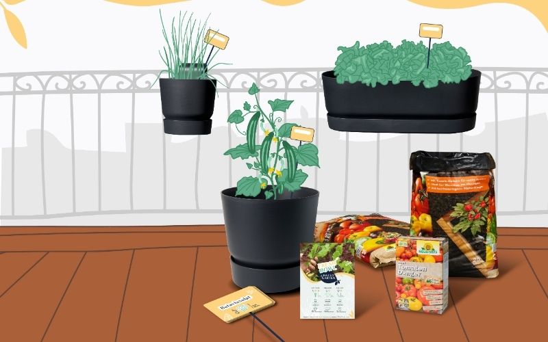 Hallo_Garten_Pflanzmenue_Gemüse_Krauter_Beeren_04_Slider
