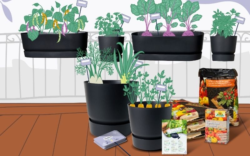 Hallo_Garten_Pflanzmenue_Gemüse_Krauter_Beeren_05_Slider