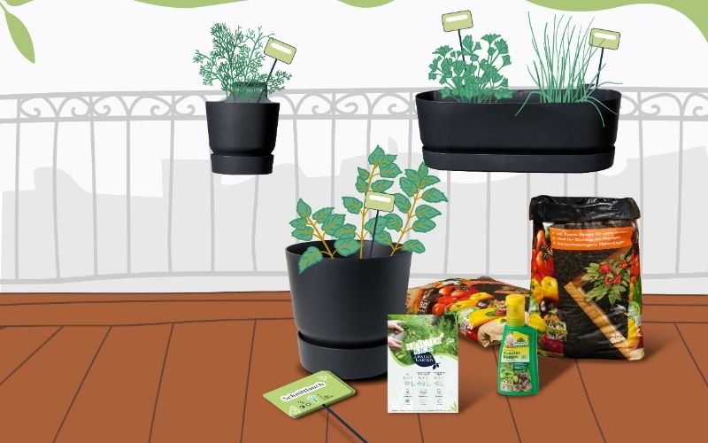 Hallo_Garten_Pflanzmenue_Gemüse_Krauter_Beeren_06_Slider