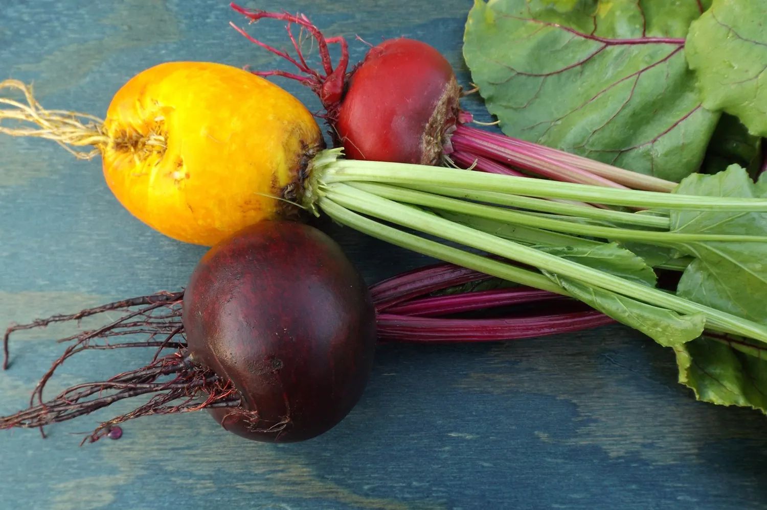 Bunte Gemüseküche Rote und Gelbe Bete