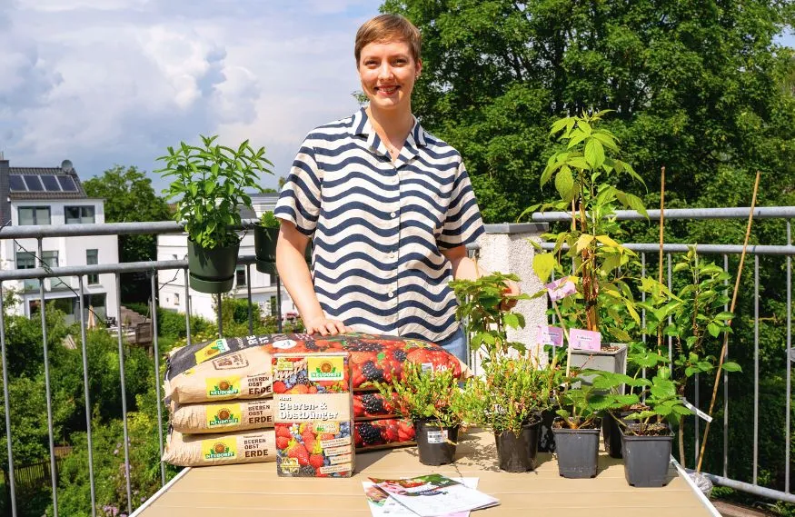 Hallo Garten Pflanz Menü Warum Hallo Garten