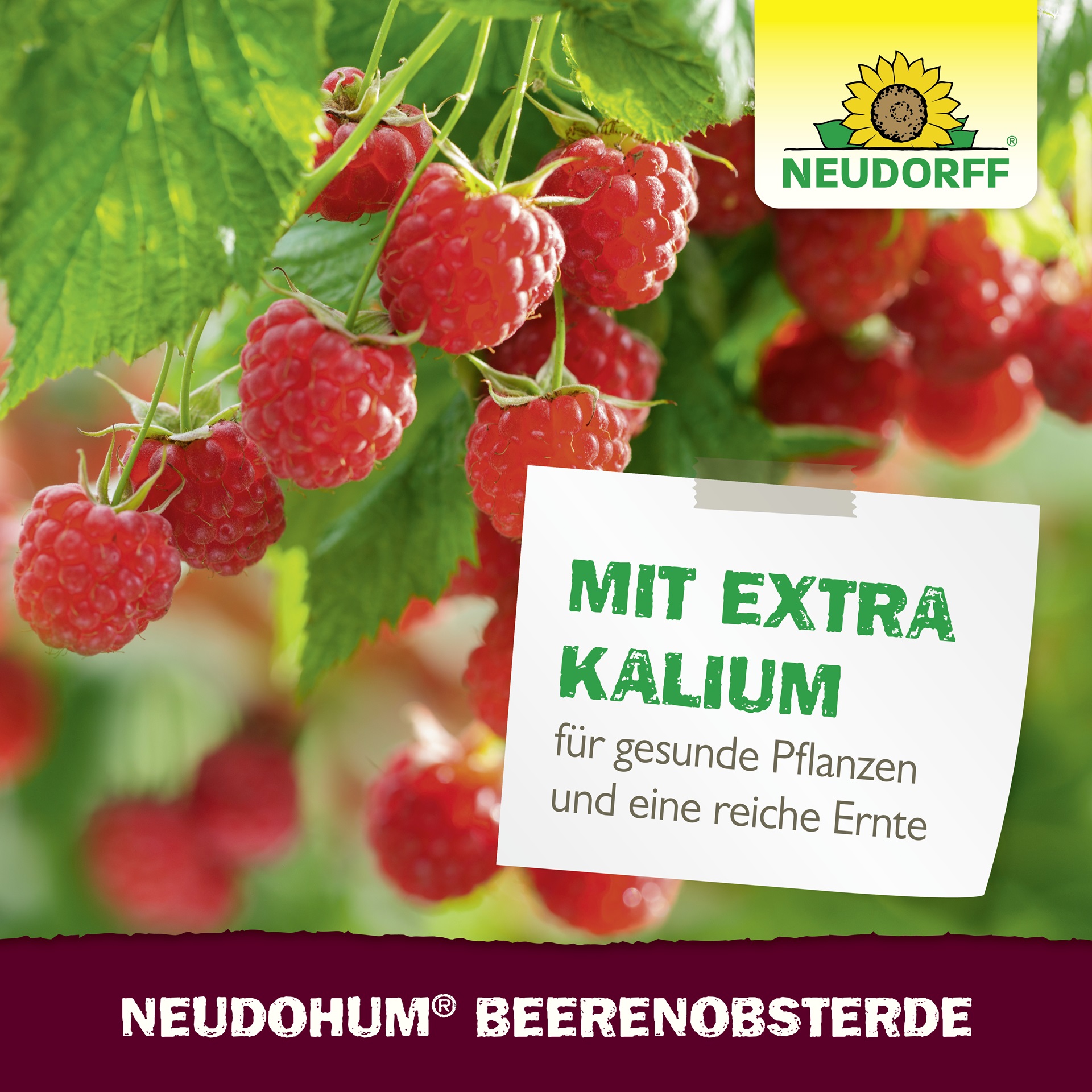 4005240009994_NeudoHum_BeerenobstErde_20L_Bild_7_produktbild_1920