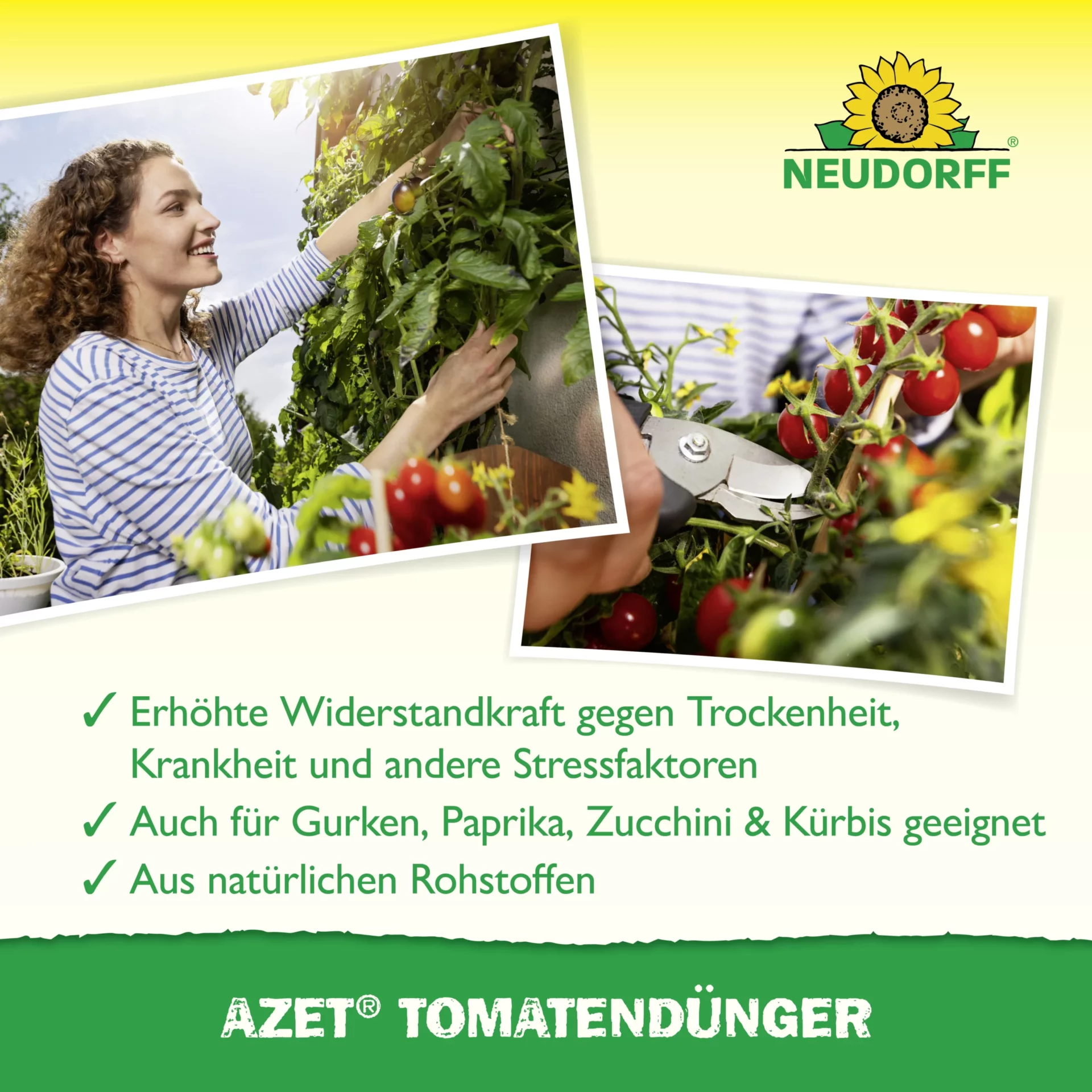 Azet_Tomatendu╠ênger_Bild_4