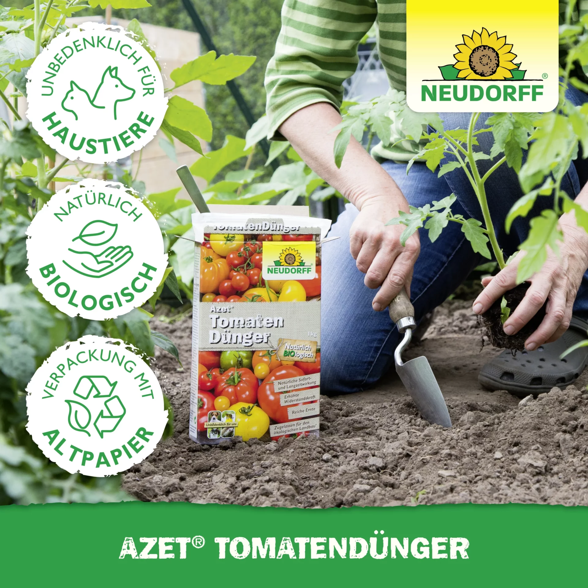 Azet_Tomatendu╠ênger_Bild_5