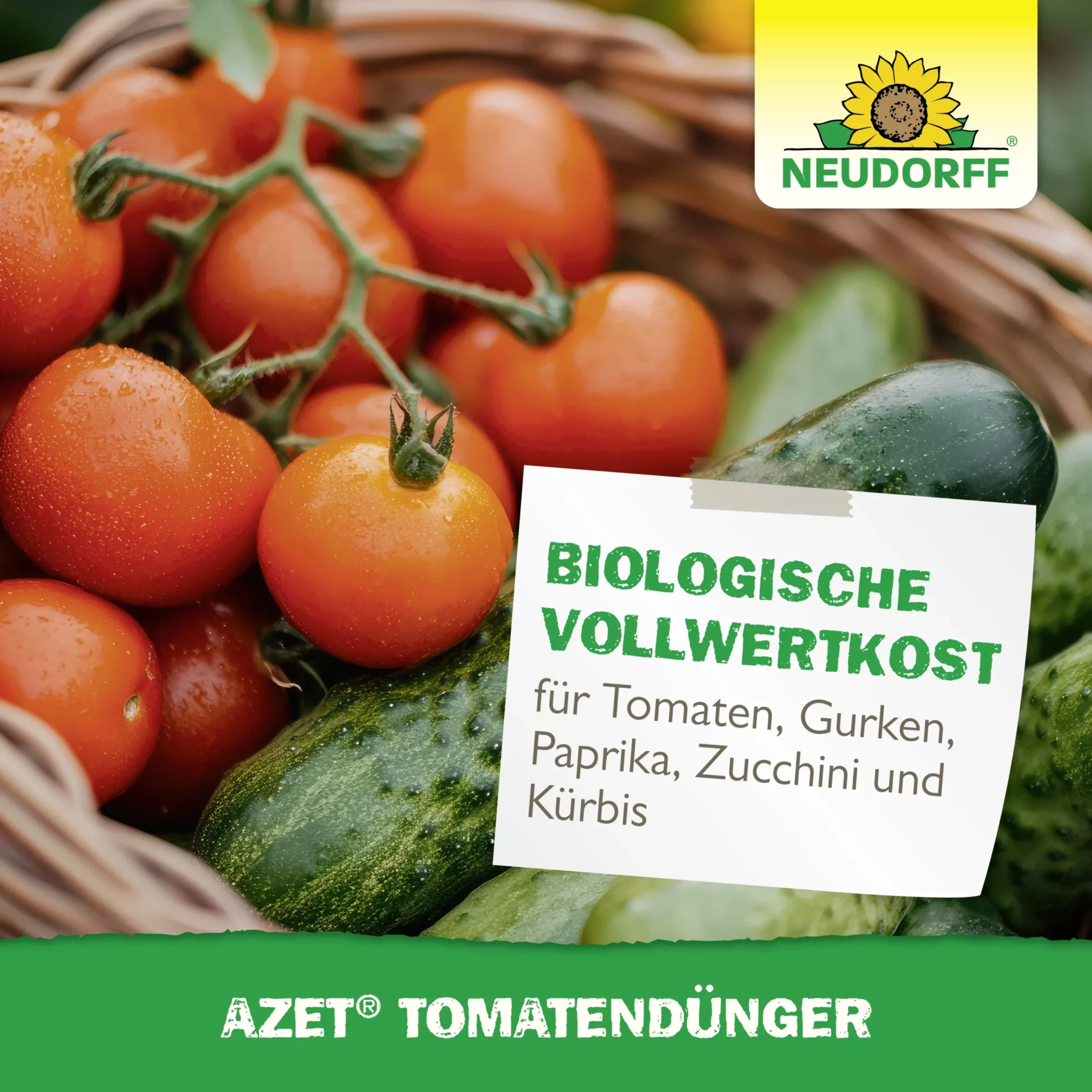 Azet_Tomatendu╠ênger_Bild_6