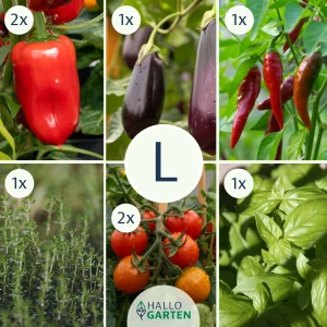 Pflanzen-Set Antipasti - Bild 3