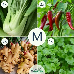 Pflanzen-Set Asia Delight - Bild 2