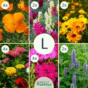 Blumen-Set Boho Oase - Bild 3