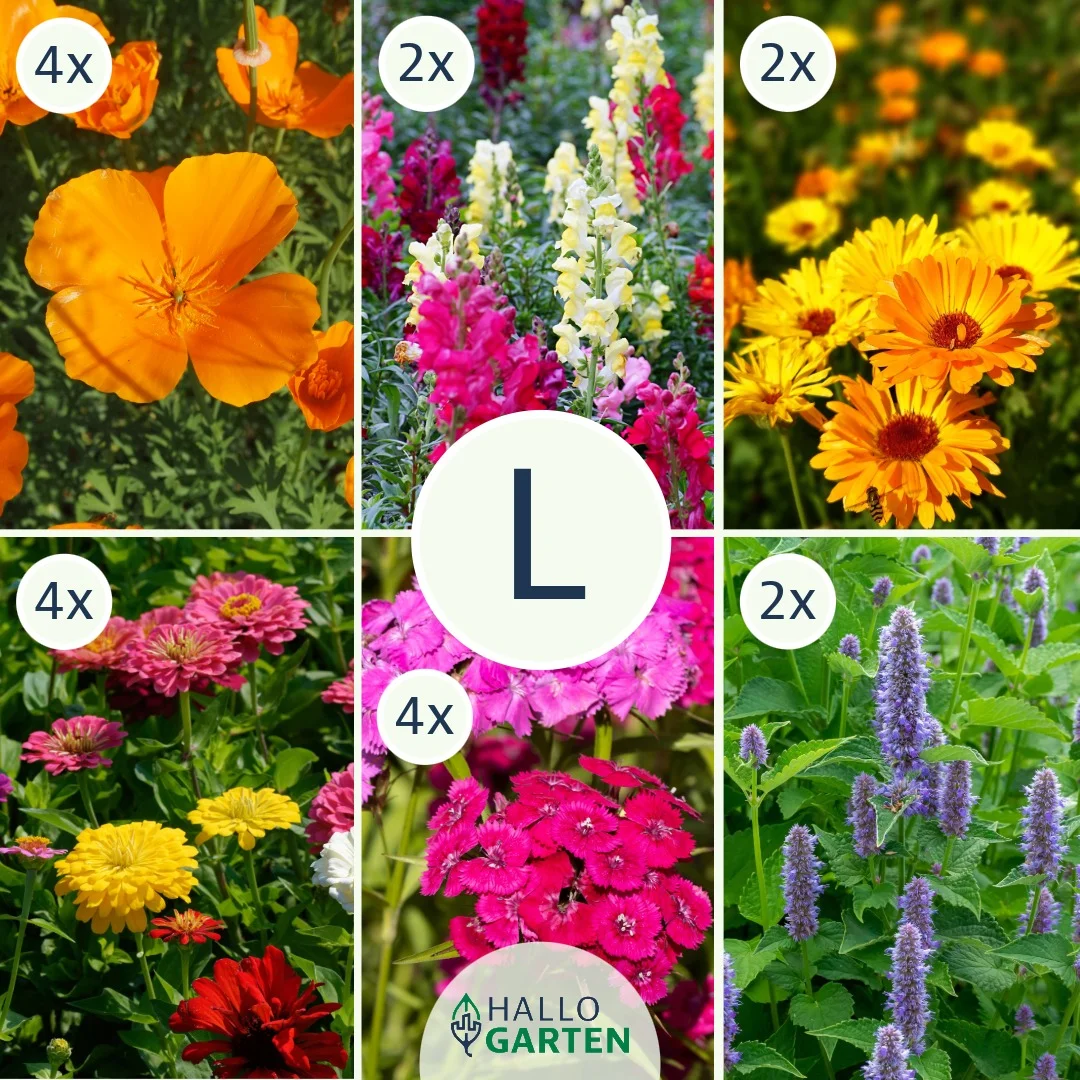 Blumen-Set Boho Oase - Bild 3