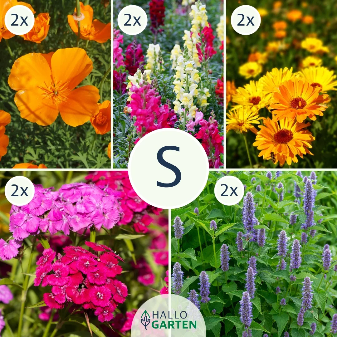 Blumen-Set Boho Oase