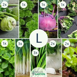 Pflanzen-Set Heimischer Genuss - Bild 3