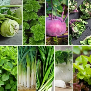 Pflanzen-Set Heimischer Genuss