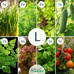 Pflanzen-Set Gartenbowl - Bild 3