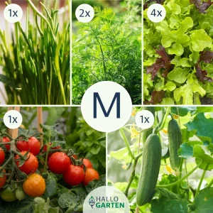 Pflanzen-Set Gartenbowl - Bild 2