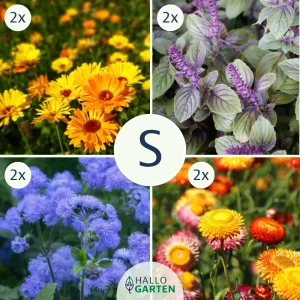 Blumen-Set Cottage Garden - Bild 1