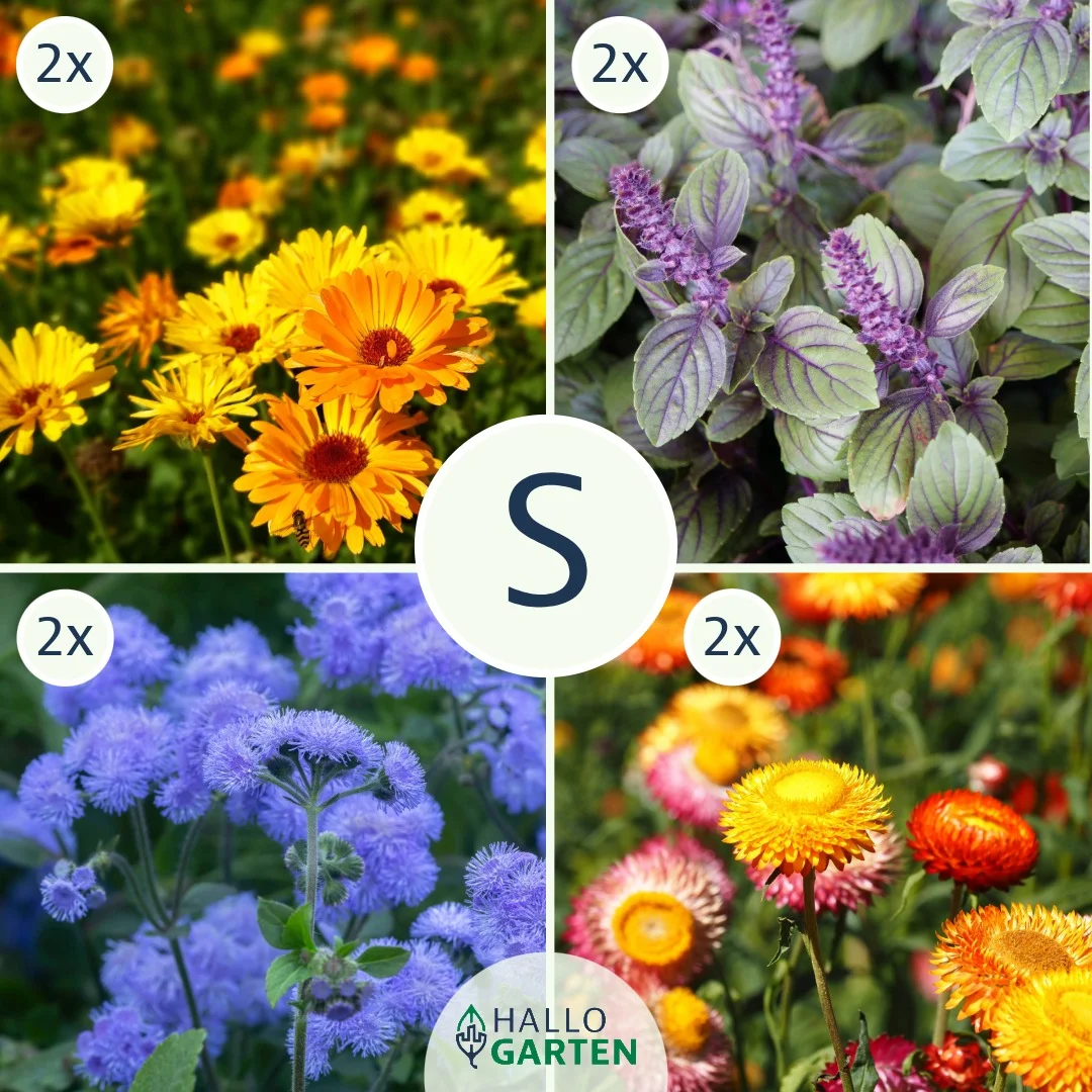 Blumen-Set Cottage Garden