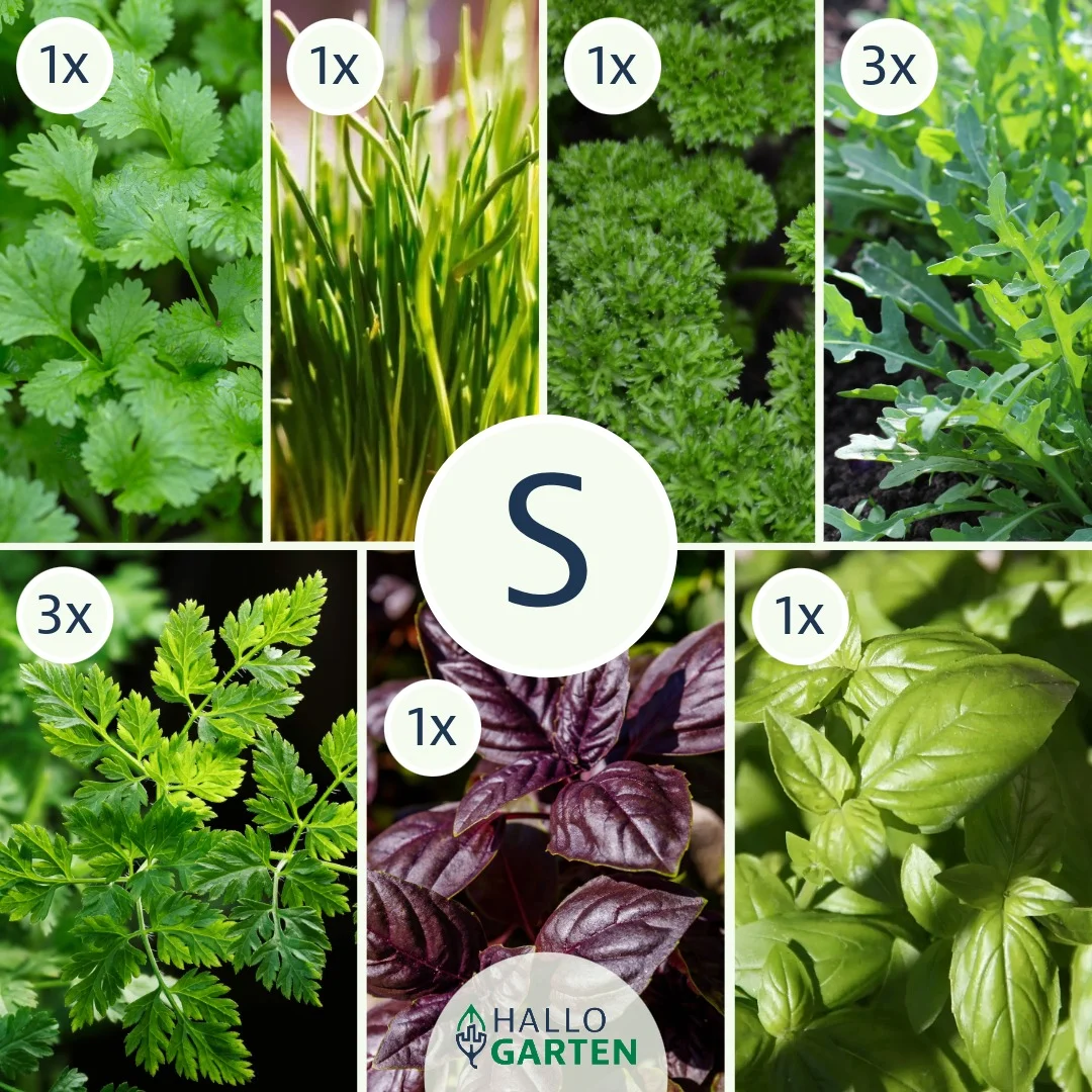 Pflanzen-Set Kräuterfreunde