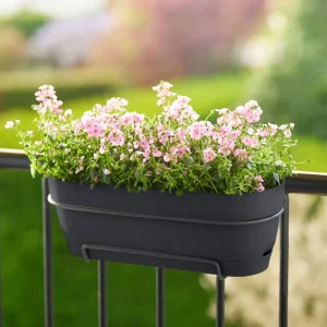 Elho Vibia Campana Balkonkasten 50 cm