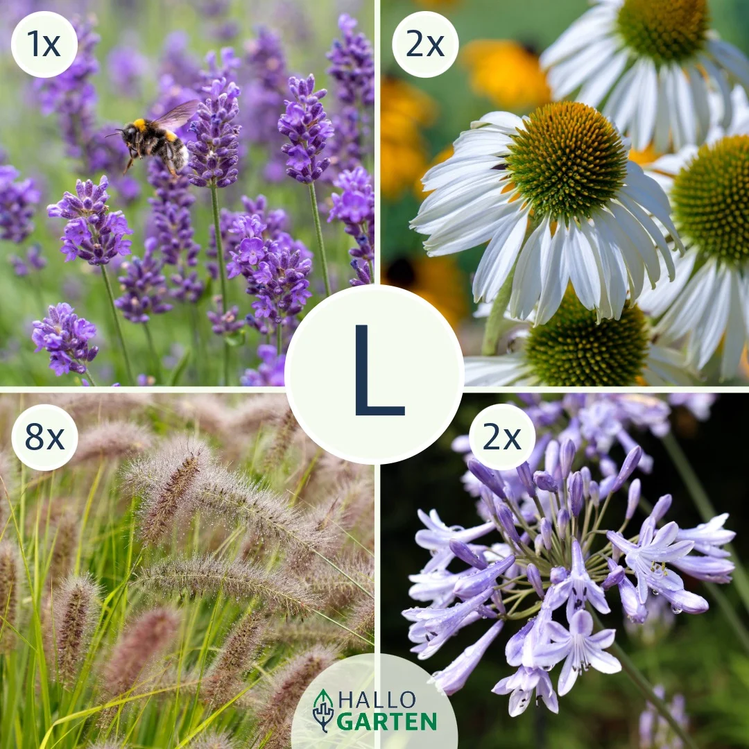 Blumen-Set Modern Chic - Bild 3