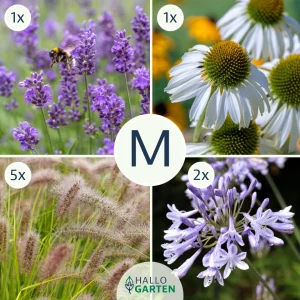 Blumen-Set Modern Chic - Bild 2