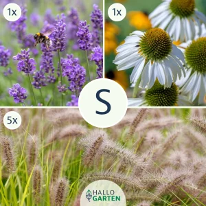 Blumen-Set Modern Chic - Bild 1