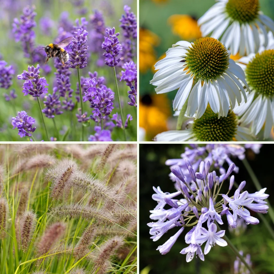 Blumen-Set Modern Chic - Bild 4