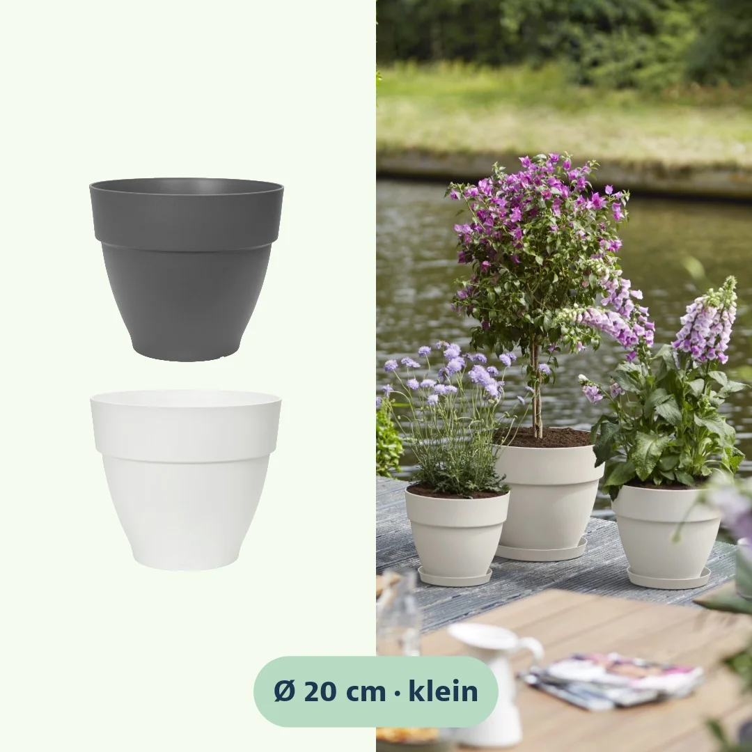 Elho Vibia Campana Pflanztopf rund 20 cm - Bild 3