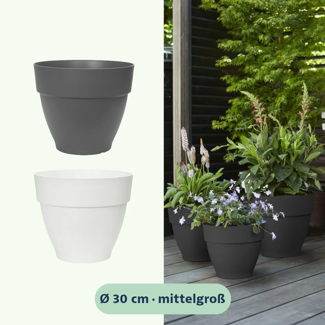 Elho Vibia Campana Pflanztopf rund 30 cm - Bild 3