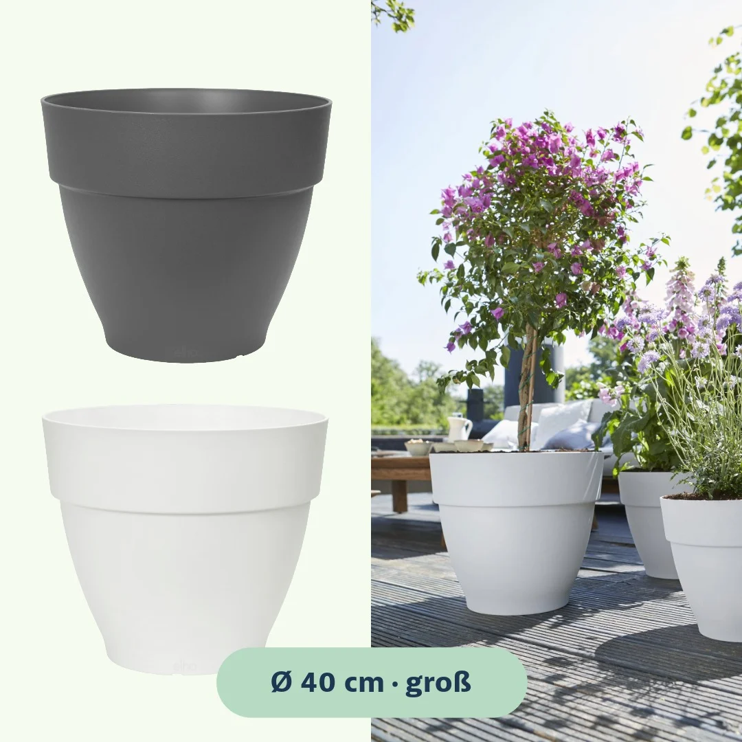 Elho Vibia Campana Pflanztopf rund 40 cm - Bild 3