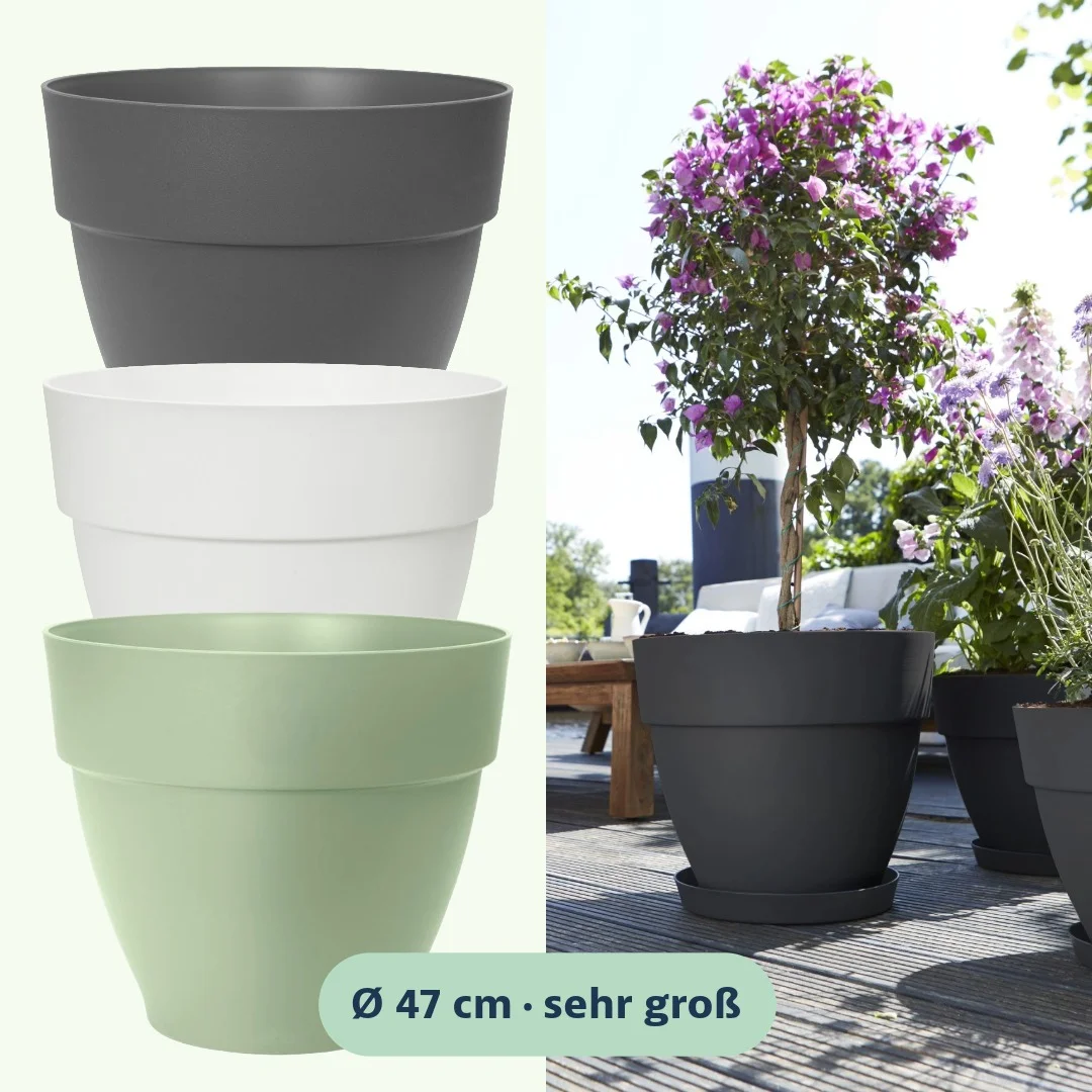 Elho Vibia Campana Pflanztopf rund 47 cm - Bild 4