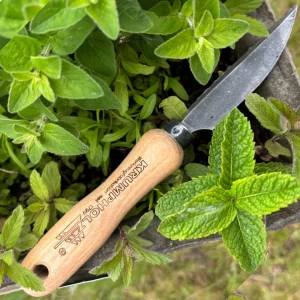 Gartenmesser mit Eschengriff