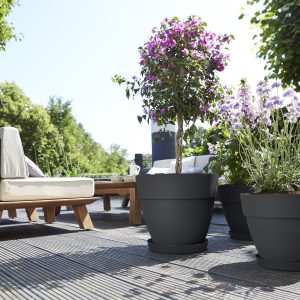 Elho Vibia Campana Pflanztopf rund 40 cm - Bild 4