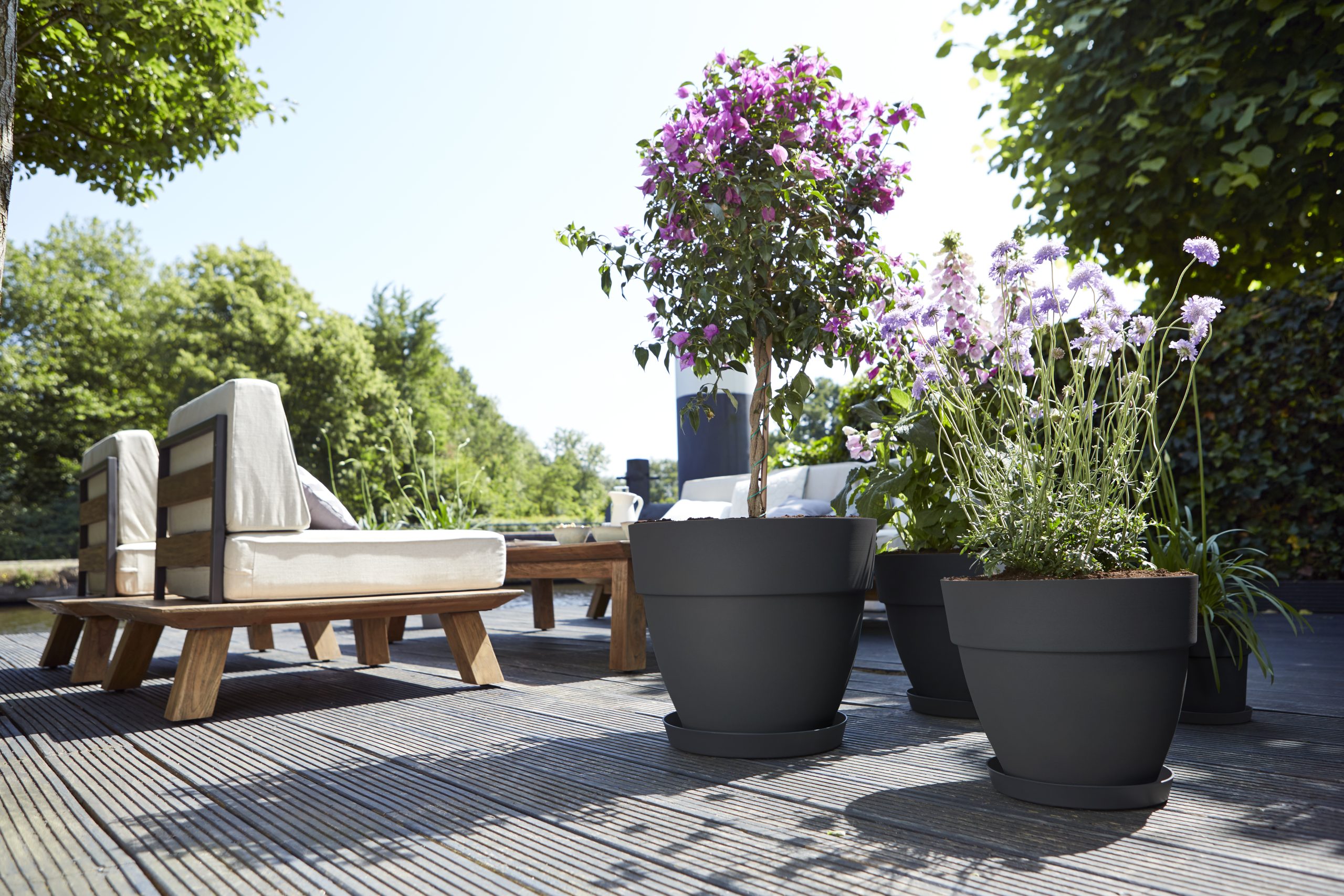 Elho Vibia Campana Pflanztopf rund 40 cm - Bild 4