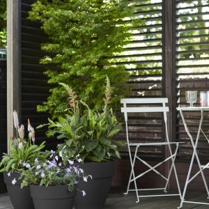 Elho Vibia Campana Pflanztopf rund 30 cm - Bild 3