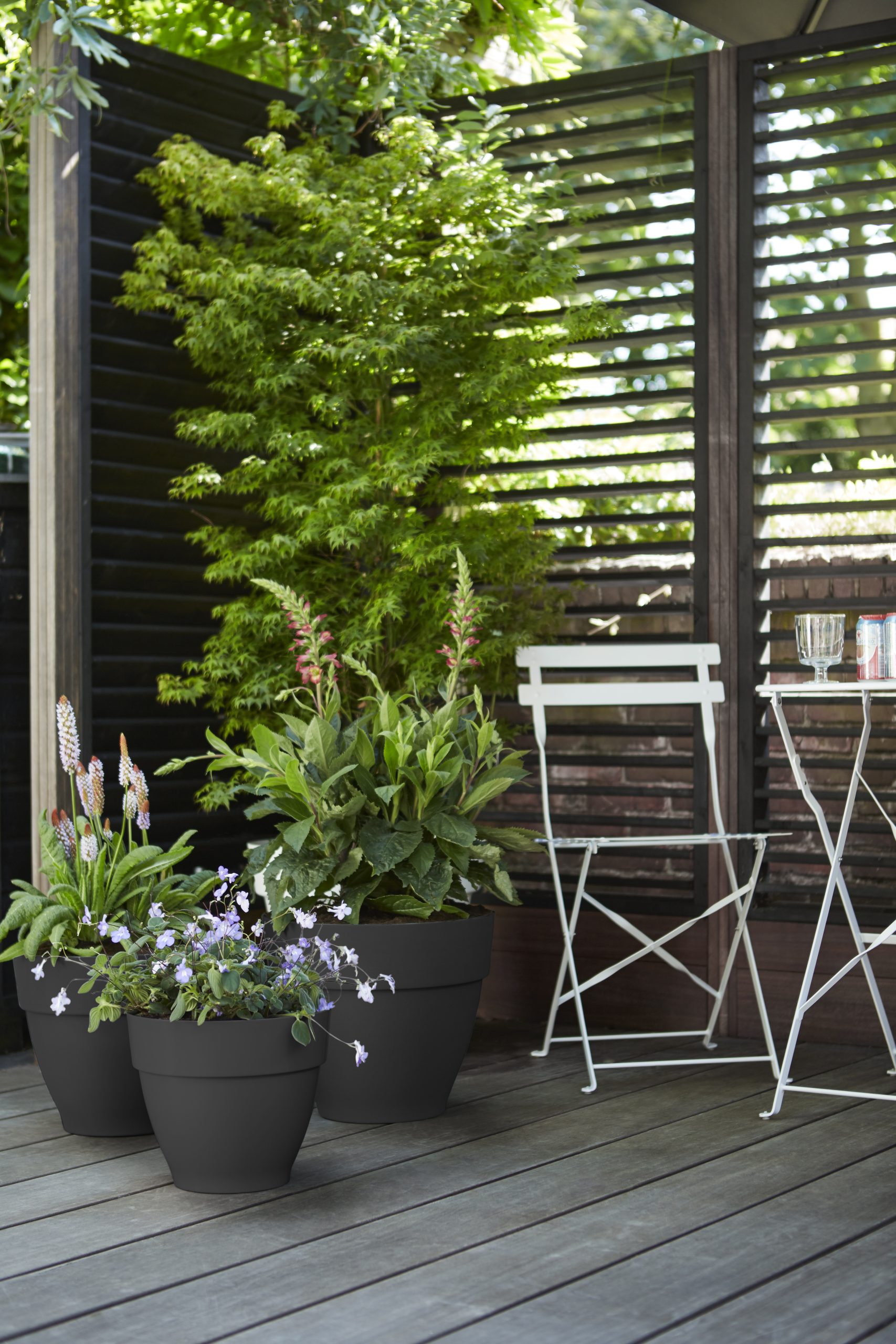 Elho Vibia Campana Pflanztopf rund 30 cm - Bild 3