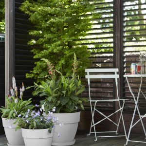 Elho Vibia Campana Pflanztopf rund 30 cm - Bild 4