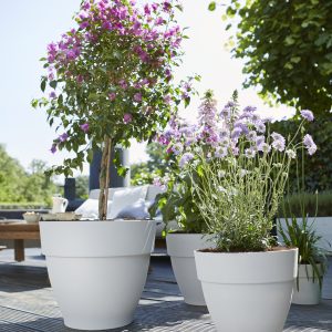 Elho Vibia Campana Pflanztopf rund 40 cm - Bild 3