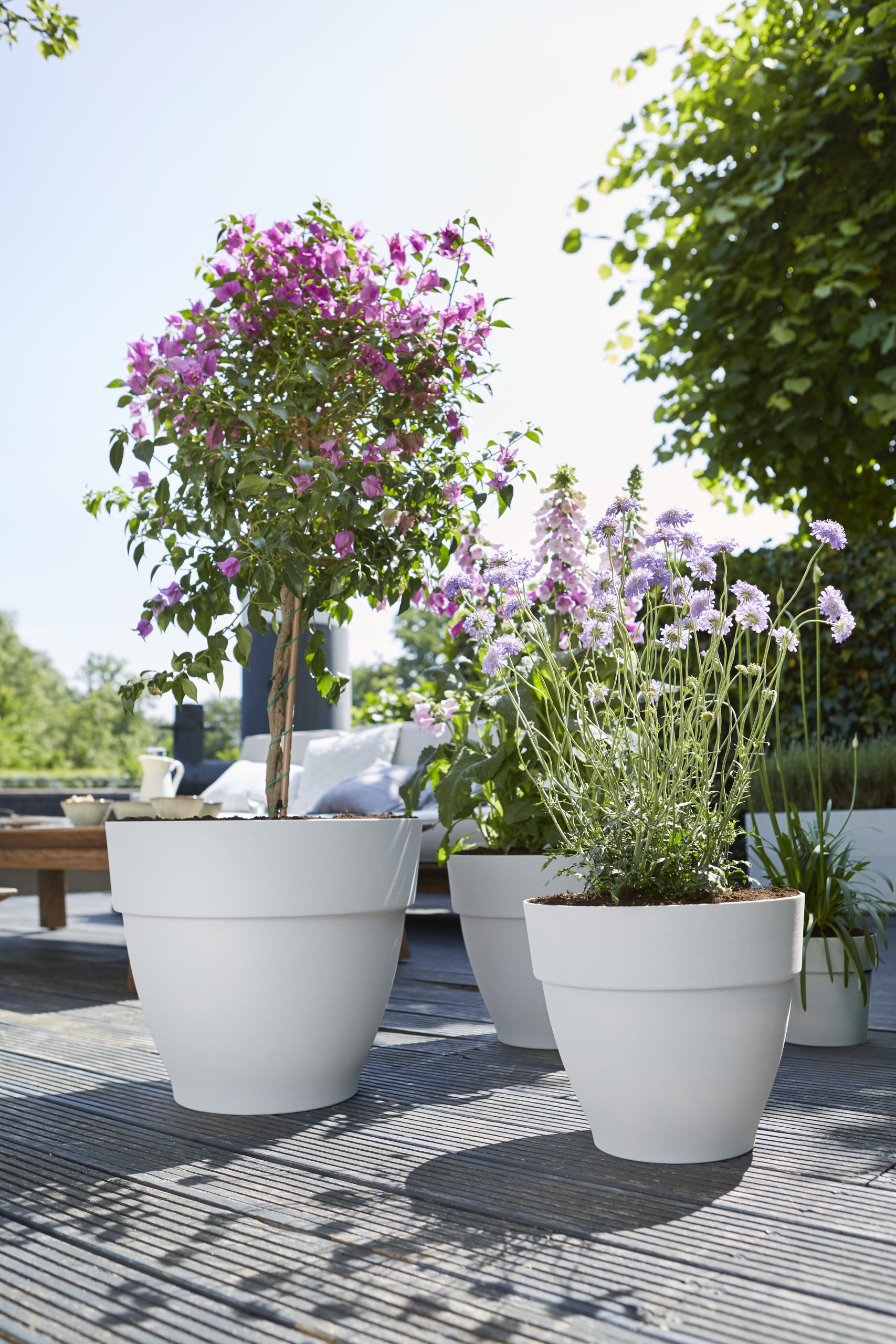 Elho Vibia Campana Pflanztopf rund 40 cm - Bild 3