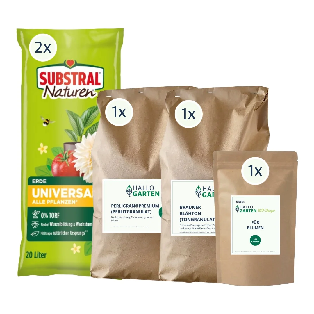 Einpflanz-Paket Blumen - M