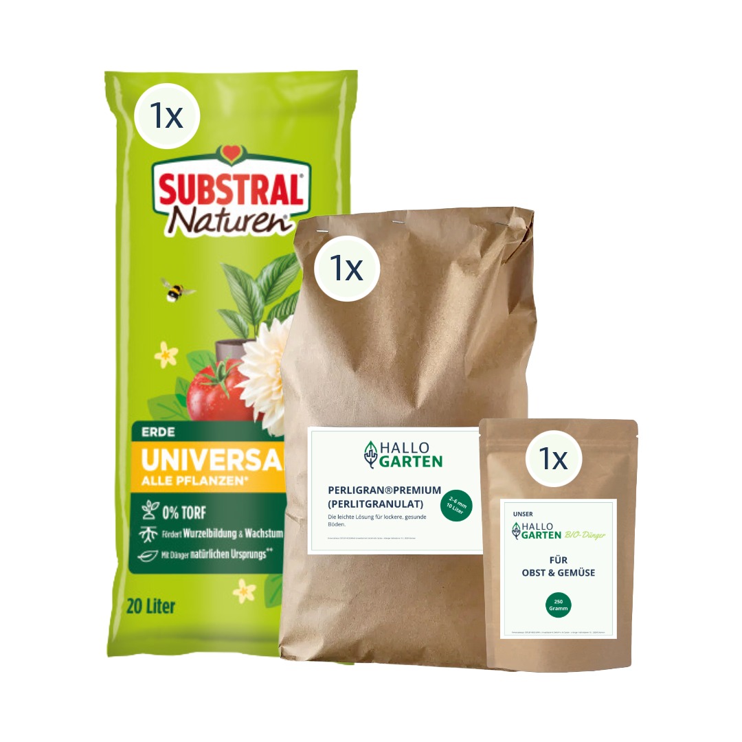 Einpflanz-Paket Obst und Gemüse S
