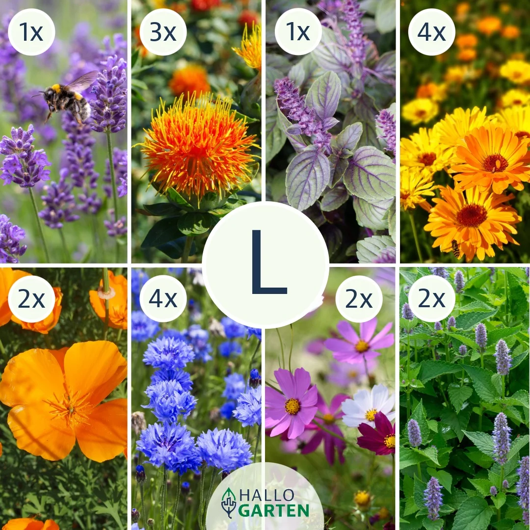 Blumen-Set Essbarer Blumengarten - Bild 3
